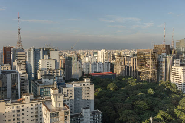 sao paulo stadtblick von der spitze des gebäudes - southeastern region sao paulo state sao paulo brazil stock-fotos und bilder