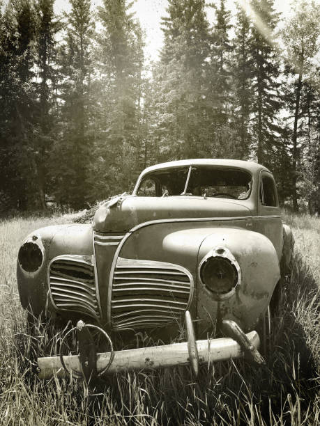 Early 40's rusty truck car in field with trees in background. Picture was taken in High Prairie, Alberta Canada.
