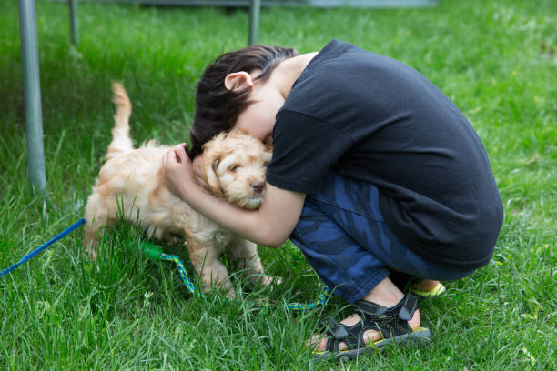 istock Puppy and Little Boy 1158293137