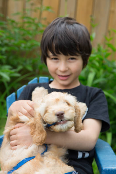 istock Puppy and Little Boy 1158293140