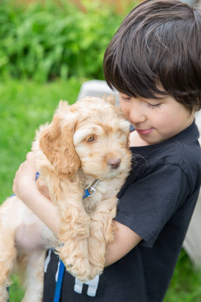 istock Puppy and Little Boy 1158293141