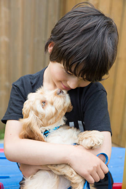 istock Puppy and Little Boy 1158293142