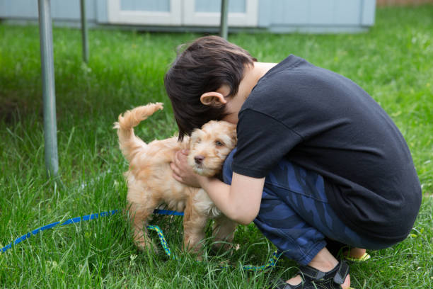 istock Puppy and Little Boy 1158293226