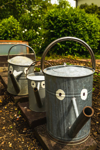 istock The Watering Can Family 1158294040