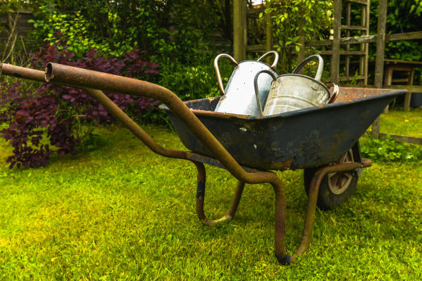 istock The Watering Can Family 1158294232
