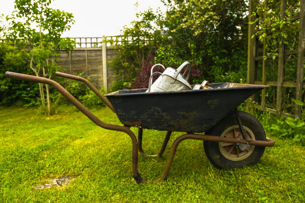 istock The Watering Can Family 1158294260