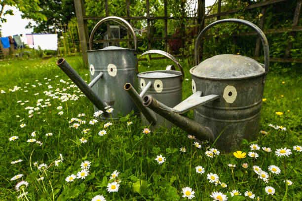istock The Watering Can Family 1158294331