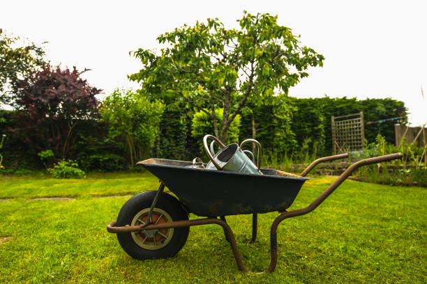istock The Watering Can Family 1158294383
