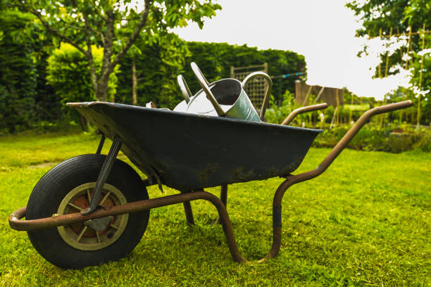 istock The Watering Can Family 1158294388