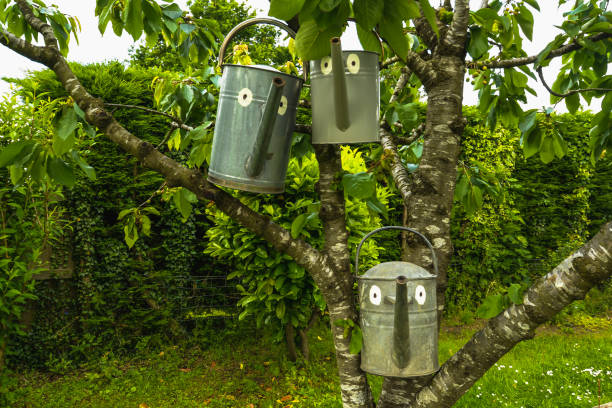 istock The Watering Can Family 1158294416