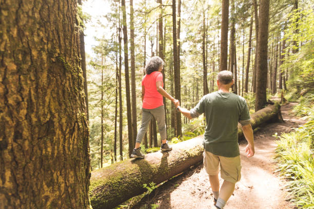 istock Senior couple hike in the forest 1158305356