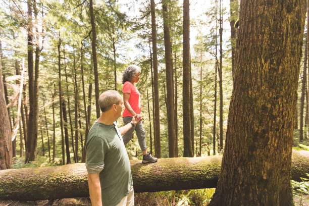istock Senior couple hike in the forest 1158305357