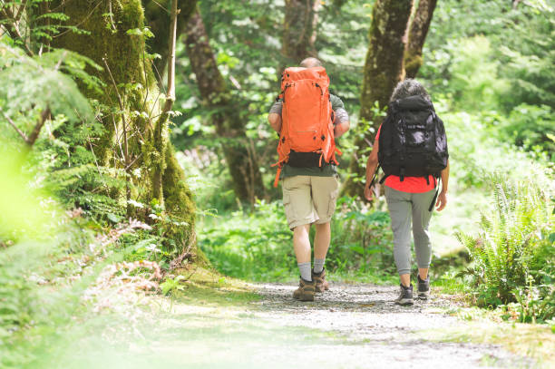 istock Senior couple backpacking through the forest 1158305359