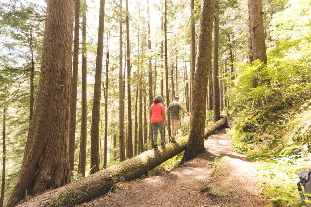 istock Senior couple hike in the forest 1158305360