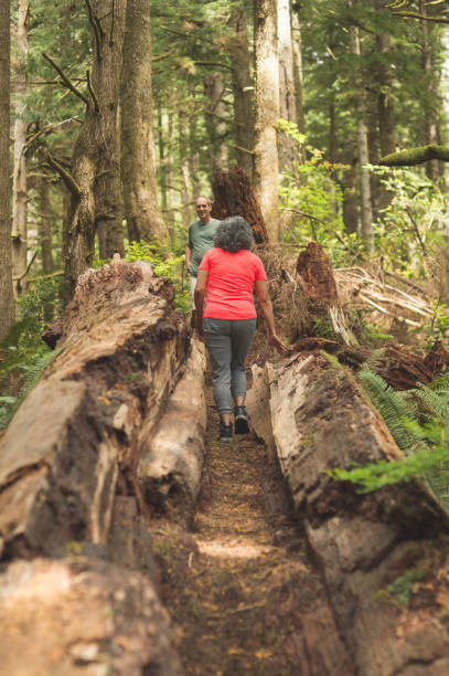 istock Senior couple hiking in an Oregon forest 1158305375