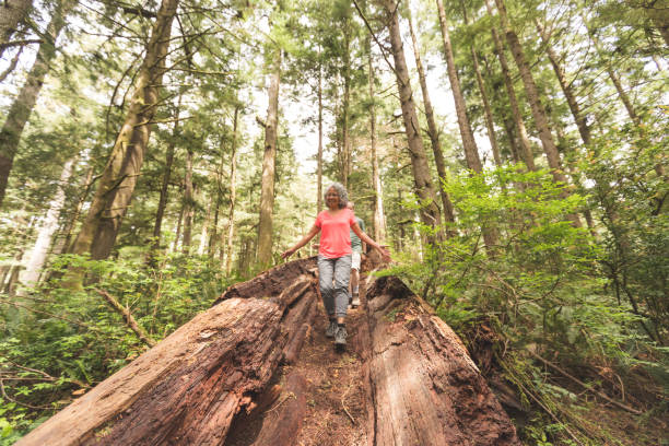 istock Senior couple hiking in an Oregon forest 1158305377