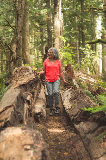 istock Senior couple hiking in an Oregon forest 1158305380