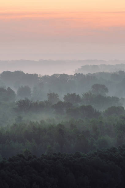 istock Mystical view from top on forest under haze at early morning. Eerie mist among layers from tree silhouettes in taiga under predawn sky. Morning atmospheric minimalistic landscape of majestic nature. 1158306501