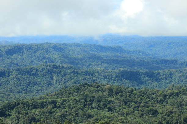 istock View of tropical rainforest and clouds moving in 1158310798