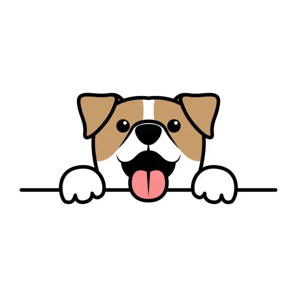 Vector illustration of Cute jack russell terrier paws up over wall, Dog face cartoon, vector illustration