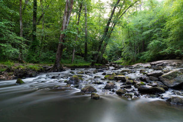 umstead state park, à raleigh - chapel hill photos et images de collection