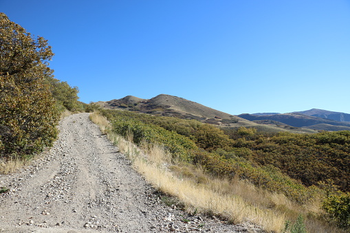 The popular Bonneville Shoreline trail (BST) in late Fall with dry vegetation above the Avenues neighborhood in Salt Lake City, Utah