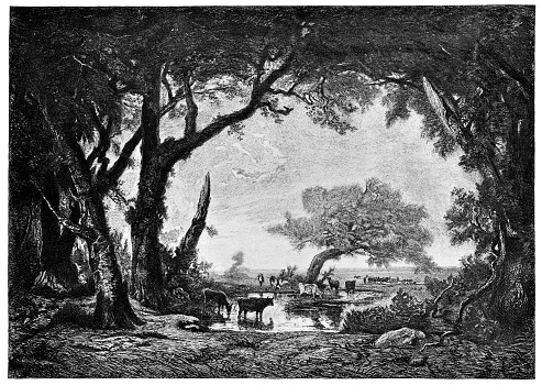 Edge of the Forest at Fontainebleau by Etienne Pierre Theodore Rousseau (circa 19th century). Vintage etching circa late 19th century.