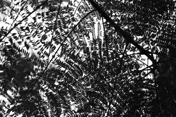 Abstract small leaves against the sky patterned background