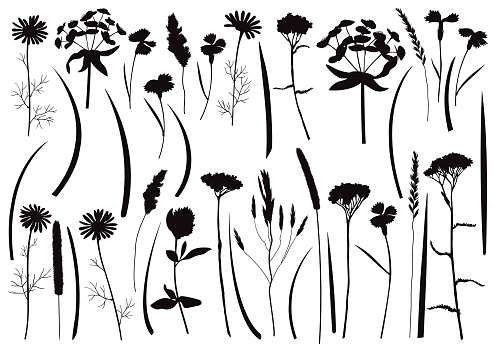 Herb and field flowers silhouette set. Greenery botanical objects collection for textile prints, country backgrounds, alpine banner and wrapping.