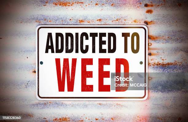 Addicted To Weed Stock Photo - Download Image Now - Rebellion, Bong, Addict