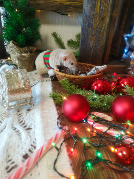 istock Christmas animals. Mouse with Christmas toys. 1158328630