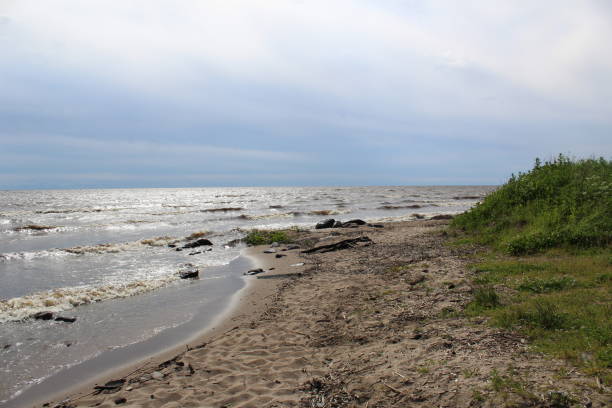 istock picturesque, large lake with waves for summer holidays 1158330710