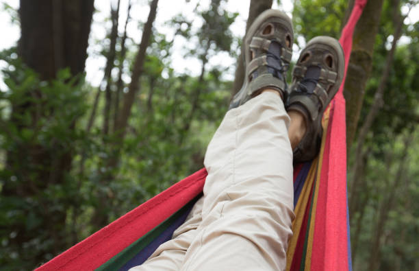 istock Relaxing in hammock in summer forest 1158331785