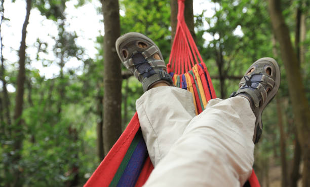 istock Relaxing in hammock in summer forest 1158331797