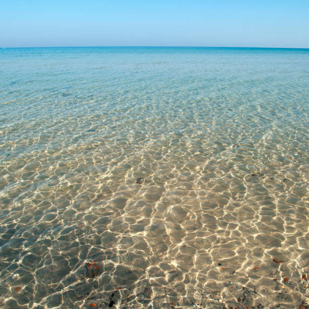 istock Clear sea water, Tunisia. 1158333905