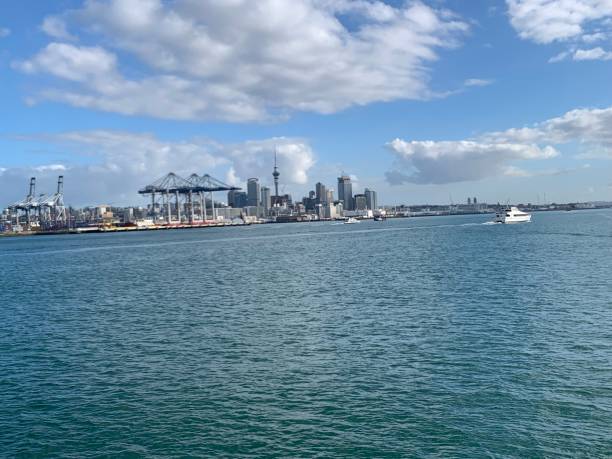 istock Auckland city 1158338297