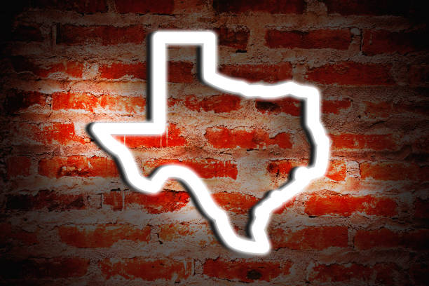 State of Texas Neon Sign