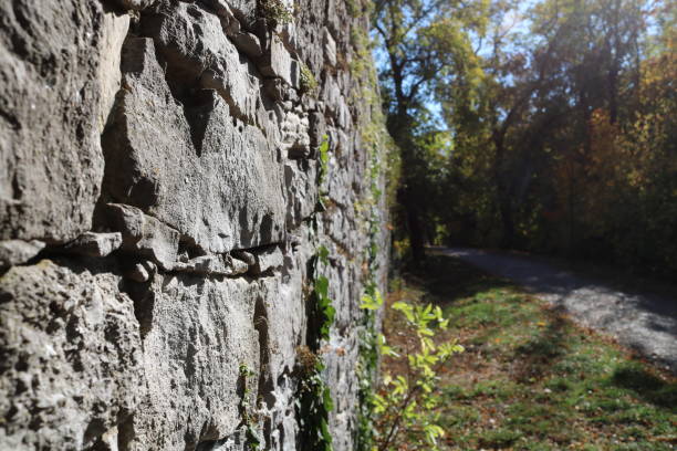 istock Old city wall in Hildesheim, with vegetation 1158342628