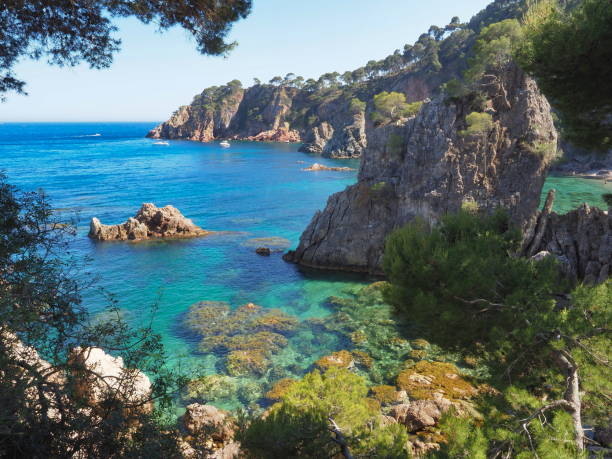istock idyllic mediterranean cove of the Costa Brava 1158344576
