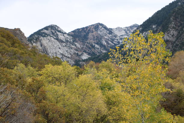 istock Wasatch Mountain Peaks Autumn 1158345404