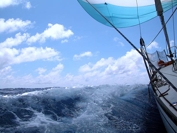 sailing stock photo