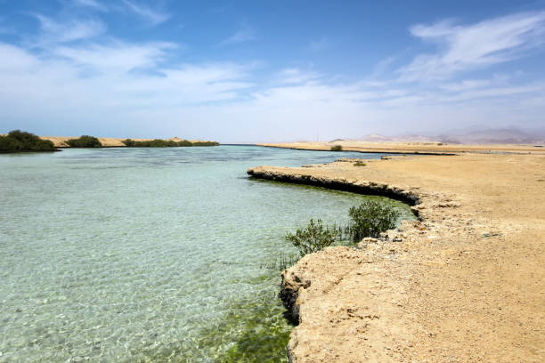 istock Ras Mohammed Mangrove Channel Egypt. 1158347167