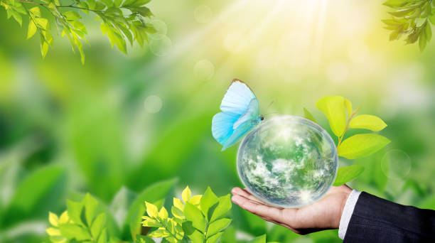 istock World environment day concept with tree planting and green earth on volunteering hands. 1158347204