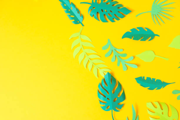 istock tropical leaves cut from paper on a yellow background. 1158349065