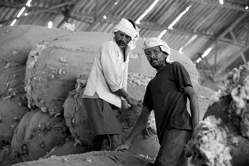 Two poor labor working in wool textile factory.  Wool is the textile fiber obtained from sheep and other animals, including cashmere and mohair from goats, qiviut from muskoxen, from hide and fur clothing from bison, angora from rabbits, and other types of wool from camelids.