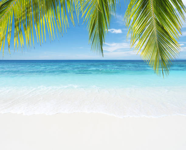 istock Tropical beach and beautiful seascape 1158354021