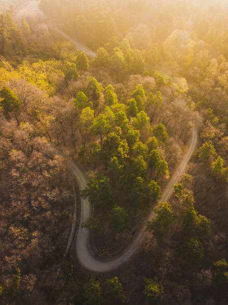 istock Aerial view over mountain road inside forest during sunrise. Autumn morning light over trees 1158355231