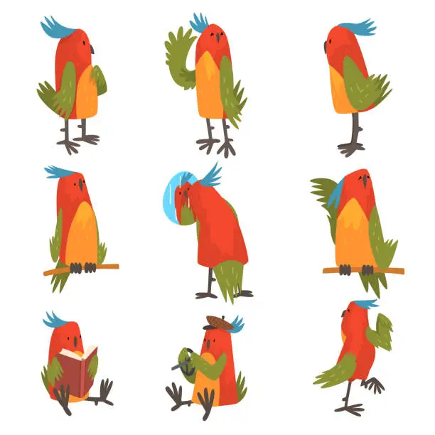 Vector illustration of Funny Bird Cartoon Character in Different Situations Set, Cute Birdie with Bright Colorful Feathers and Tuft Vector Illustration