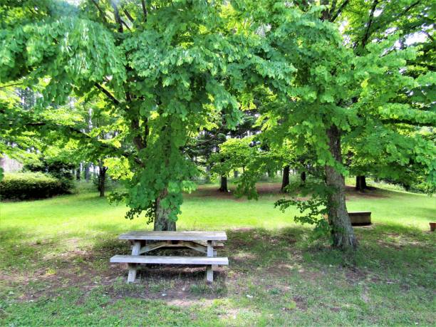 istock Matsumoto Alps Park. 6 1158357659