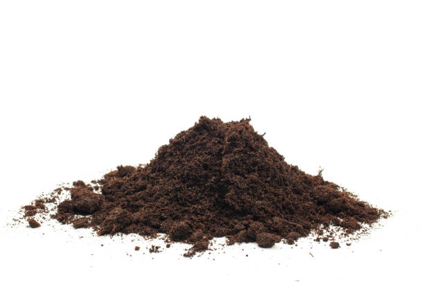 istock pile of soil isolated on white background - Image 1158357783